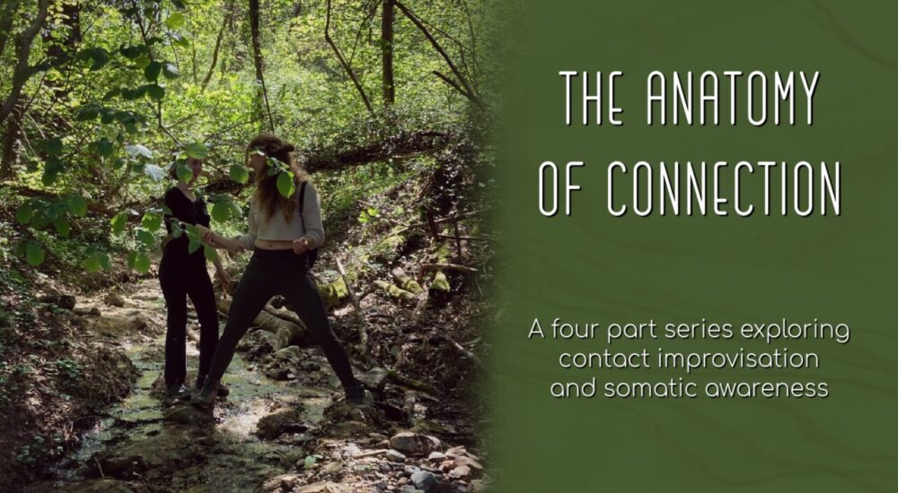 The anatomy of connection contact improvisation centrum vaktherapie maastricht. The anatomy of connection contact improvisation centrum vaktherapie maastricht.